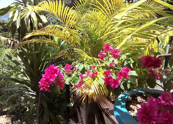 Chez Lorna 3 Nights Or Rum i privatbostad De Quincey Village